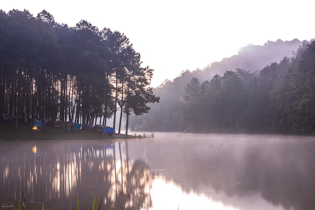 Paesaggio con la nebbia al mattino al lago Alba nel paesaggio delle montagne Turisti che si accampano al lago con la nebbia al mattino a Pang ung Mae Hong Son Thailandia