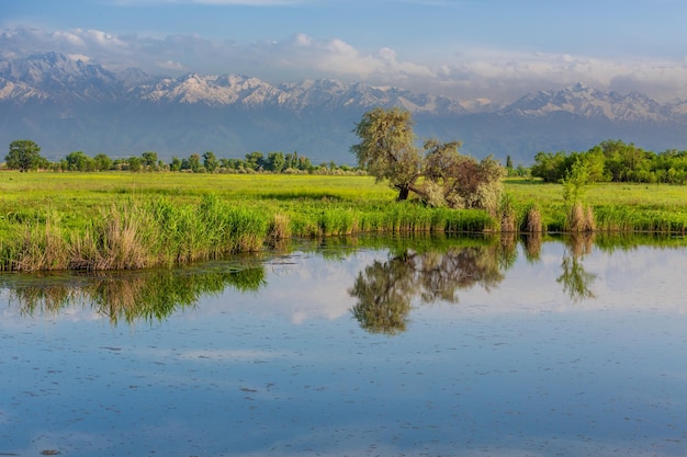 Paesaggio con laghetto