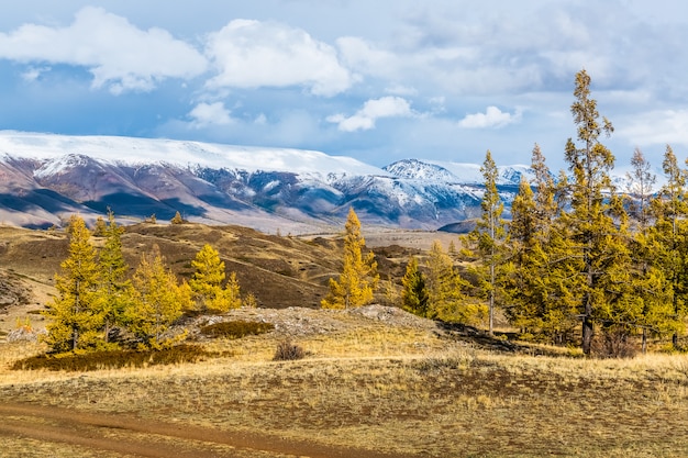 Paesaggio con le montagne di Altai, in Russia.