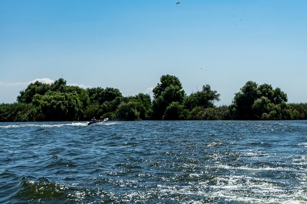 Paesaggio con linea di galleggiamento, uccelli, canne e vegetazione nel Delta del Danubio, Romania, 2021