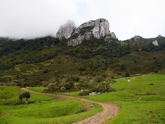 Paesaggio con montagna e sentiero