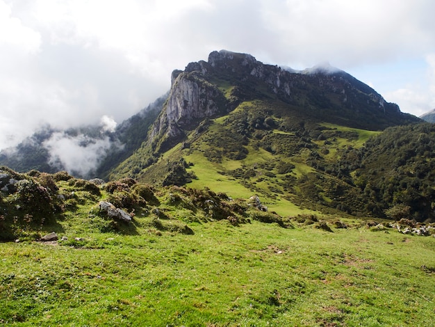 Paesaggio con montagne e vegetazione in una giornata nuvolosa