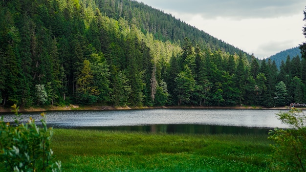 Paesaggio con montagne, foreste e un fiume di fronte. bellissimo paesaggio natura