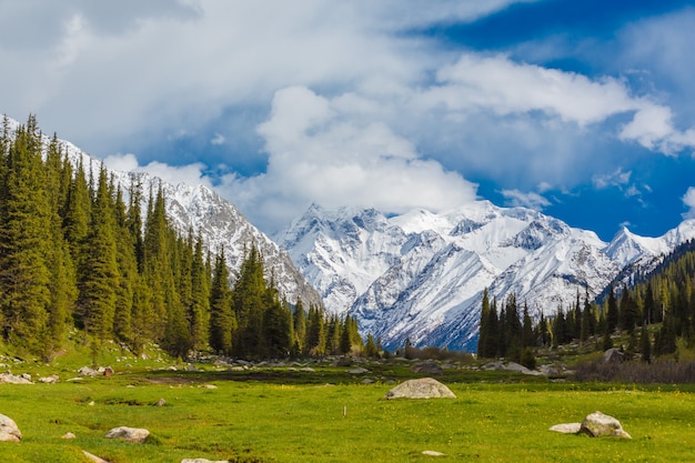 Paesaggio con montagne, Kirghizistan