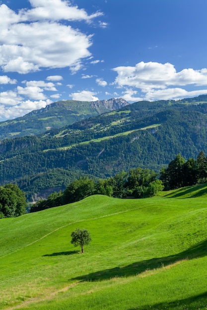 Paesaggio con montagne verdi prati e foreste