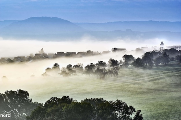 paesaggio con nebbia e montagne