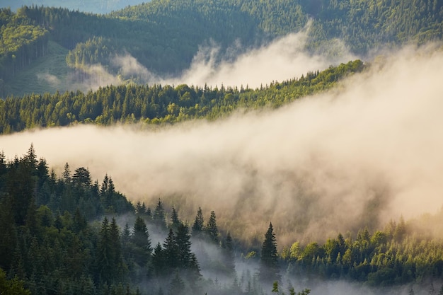 Paesaggio con nebbia in montagna