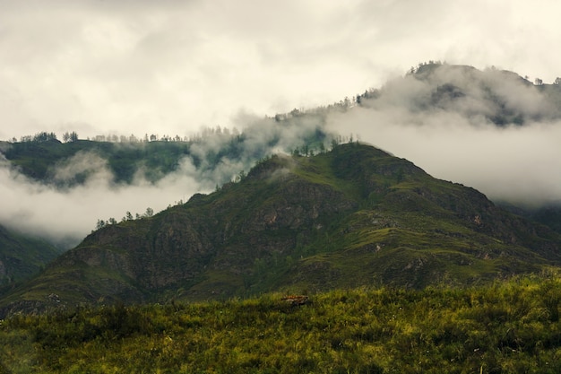 Paesaggio con nuvole basse in montagna