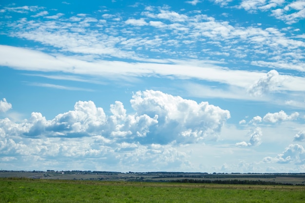 Paesaggio con nuvole bianche su prati verdi.