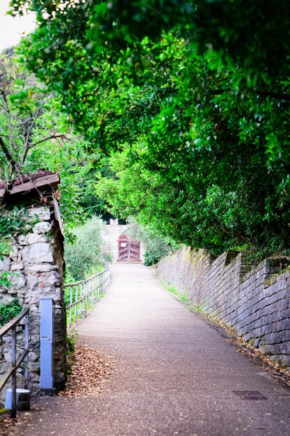 Paesaggio con percorso nella città di Arco sul Lago di Garda in Trentino Italia. Scenario rurale di strada e sentiero di campagna nella regione di Trento nel verde della natura. Vicolo e bellezze naturali della vecchia campagna.