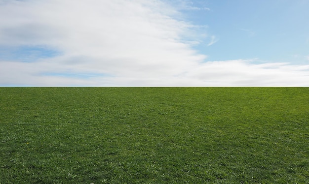 Paesaggio con prato e cielo