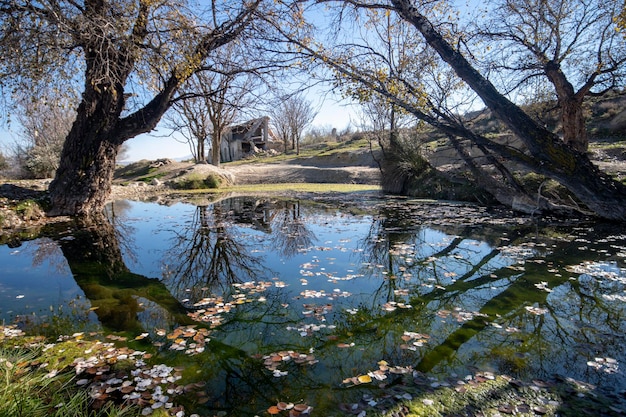 Paesaggio con riflessi nello stagno d'acqua