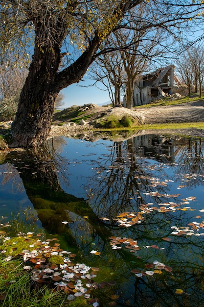 Paesaggio con riflessi nello stagno d'acqua