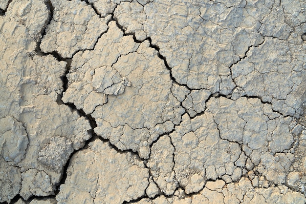 Paesaggio con terra screpolata