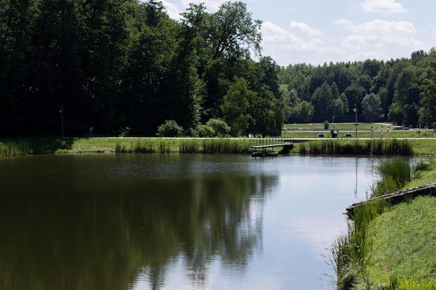 Paesaggio con un lago nel parco