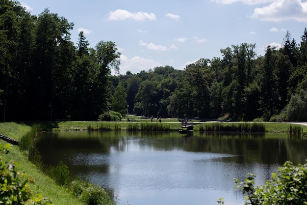 Paesaggio con un lago nel parco