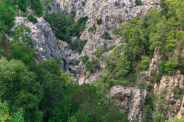 Paesaggio con un piccolo fiume di montagna in una profonda gola rocciosa nelle montagne del Tauro, Turchia