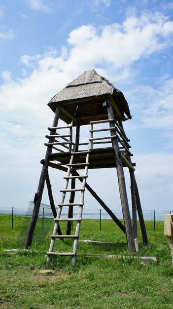 Paesaggio con una torre di legno sullo sfondo della natura