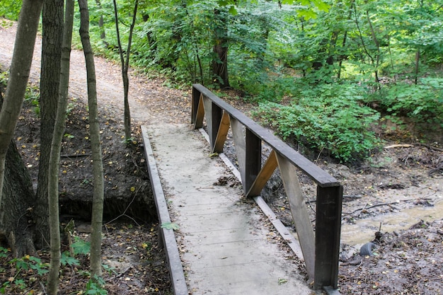 Paesaggio con vecchio ponte di legno sul fiume circondato da una bellissima foresta