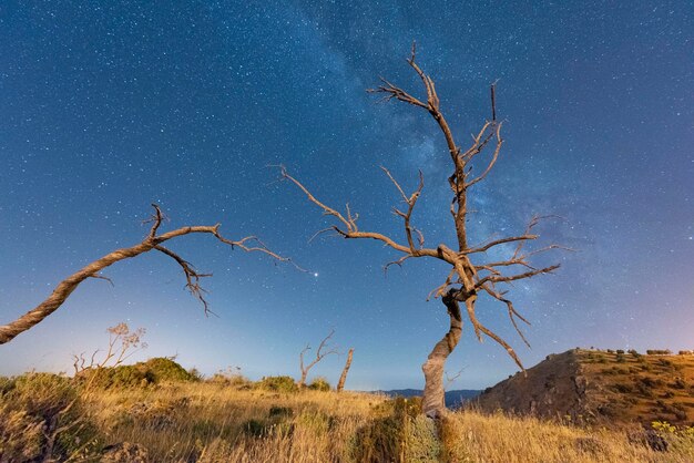 Paesaggio con Via Lattea Malaga Spagna