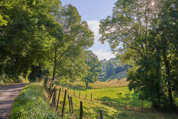 Paesaggio con vista sulla campagna sterrata e sentiero che conduce a campi agricoli o pascoli in una posizione remota Scenario di tranquilli prati e alberi verdi e lussureggianti lungo un sentiero in Francia