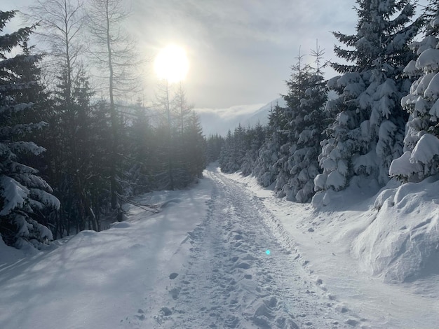 Paesaggio coperto di neve contro il cielo durante l'inverno