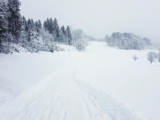 Paesaggio coperto di neve contro il cielo