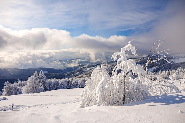 Paesaggio coperto di neve contro il cielo