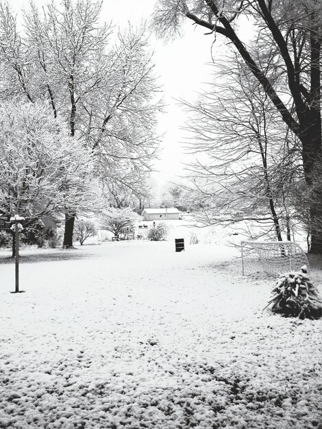 Paesaggio coperto di neve