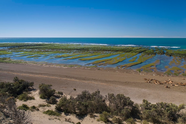 Paesaggio costiero con scogliere nella Penisola Valdes Patrimonio dell'Umanità Patagonia Argentina