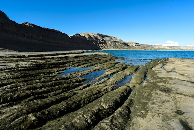 Paesaggio costiero con scogliere nella Penisola Valdes Patrimonio dell'Umanità Patagonia Argentina