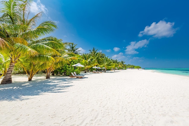 Paesaggio da spiaggia tropicale, acqua di mare turchese, sabbia, palme verdi, cielo azzurro del sole, nuvole bianche