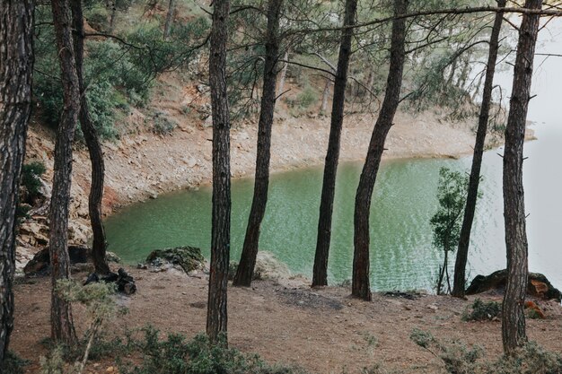 Paesaggio degli alberi delle montagne e un lago in inverno. In viaggio nel concetto di Turchia.