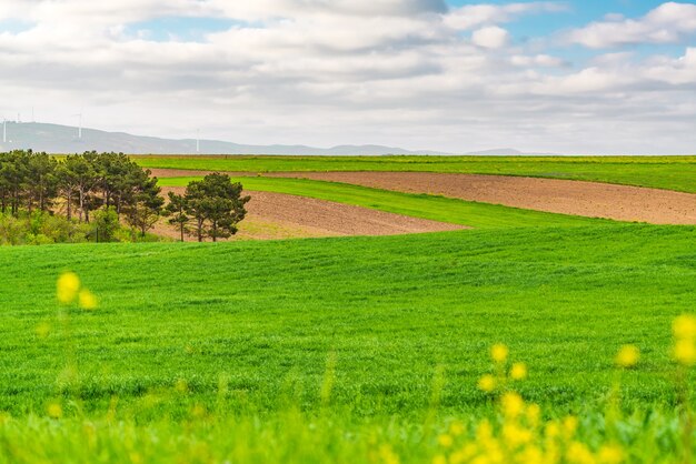 Paesaggio dei campi arati e coltivati dell'azienda agricola