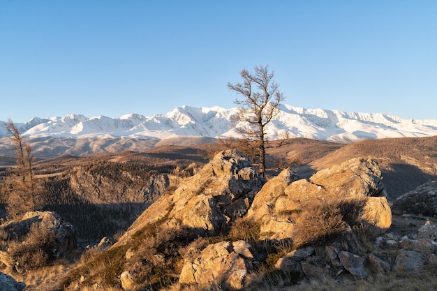 Paesaggio dei monti Altai e della cresta nord di Chui in Siberia Repubblica di Altai Russia