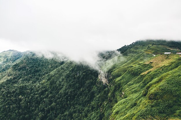 Paesaggio del bordo della scogliera e nebbia