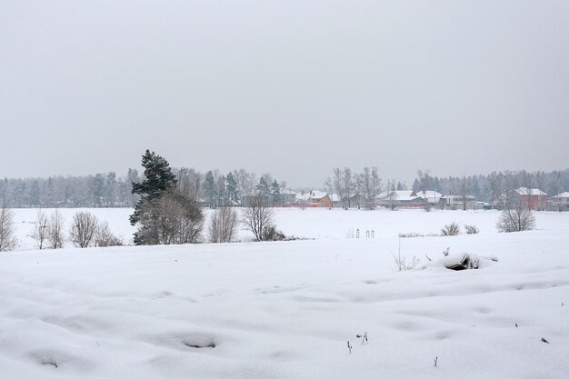 Paesaggio del campo coperto di neve al giorno d'inverno nuvoloso