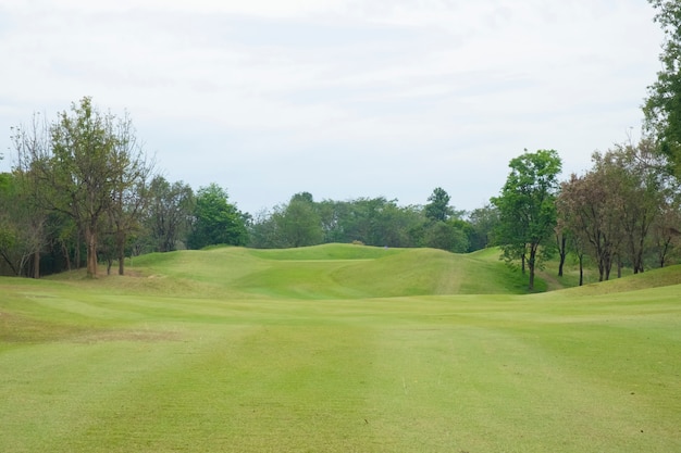 Paesaggio del campo da golf