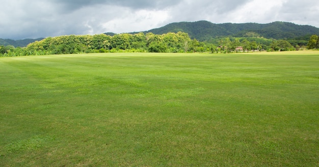 Paesaggio del campo di erba verde e del cielo con la montagna