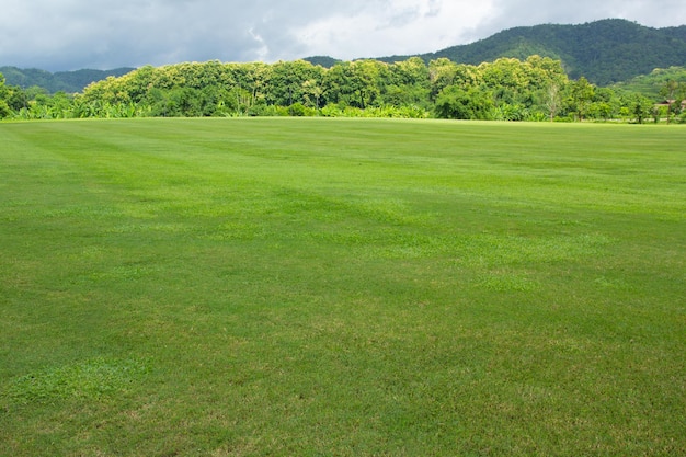 Paesaggio del campo di erba verde e del cielo con la montagna