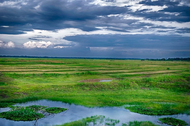 Paesaggio del campo verde e del cielo tempestoso scuro in Tailandia
