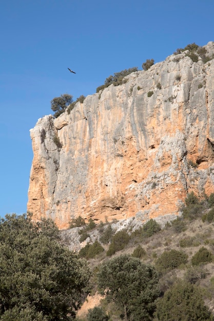 Paesaggio del canyon in Aragona, Spagna