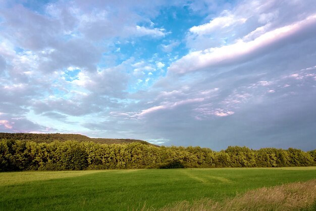 Paesaggio del cielo con nuvole sopra il campo