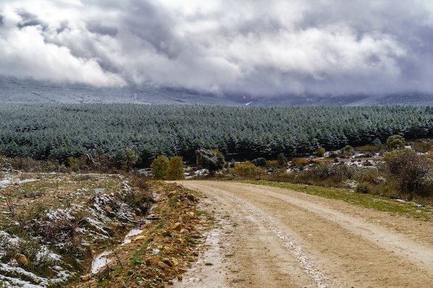 Paesaggio del cielo di tempesta di neve sulla campagna e alberi innevati. Strada sterrata per la montagna. Concetto di neve.