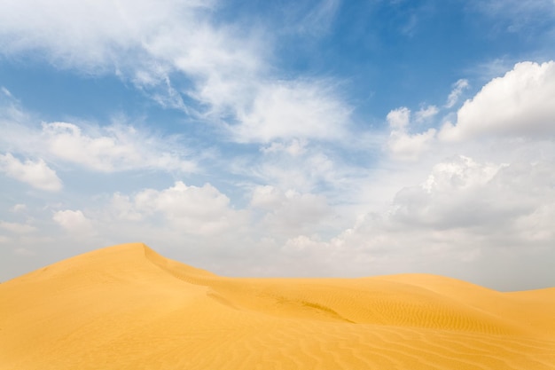 Paesaggio del deserto con sfondo di dune di cielo blu