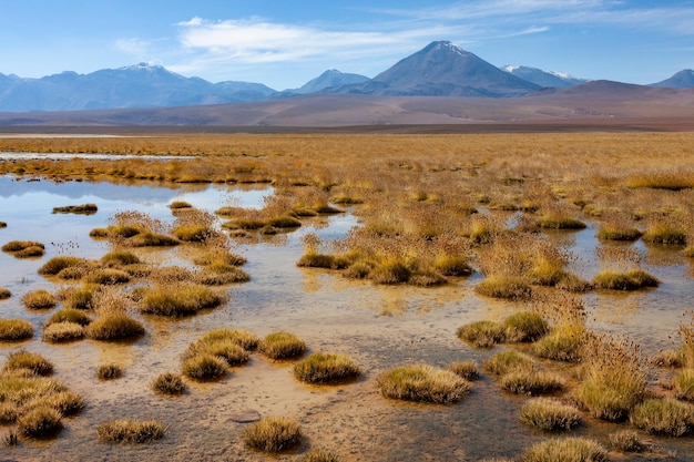 Paesaggio del deserto di Atacama Cile America del Sud