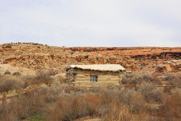 Paesaggio del deserto in primavera, Utah, Stati Uniti d&#39;America.