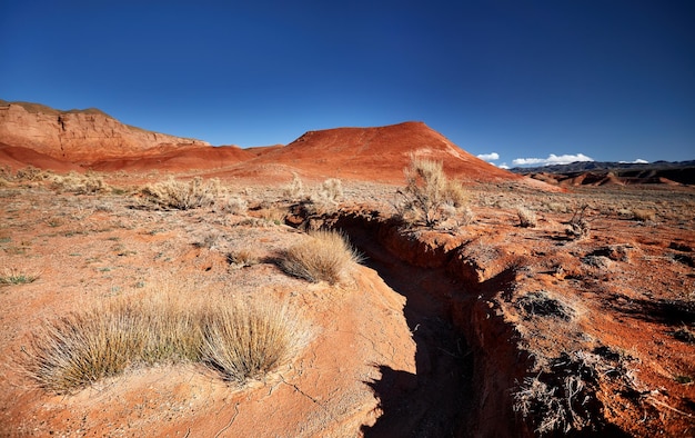 Paesaggio del deserto rosso