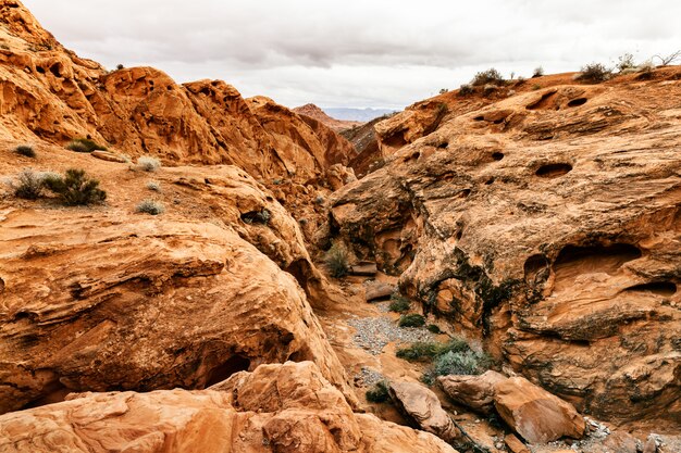 Paesaggio del deserto scenico nel Nevada del sud, USA