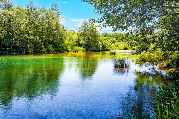 paesaggio del fiume di montagna Abin con il riflesso di alberi e piante in esso